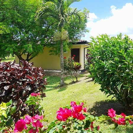 Top Rated - Lake View Arenal Suite - 2025 Traveller Awards Winner Tronadora Exterior foto