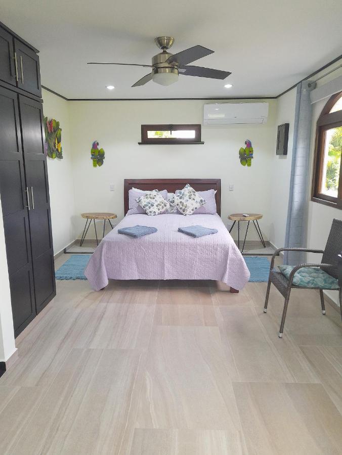 Top Rated - Lake View Arenal Suite - 2025 Traveller Awards Winner Tronadora Exterior foto