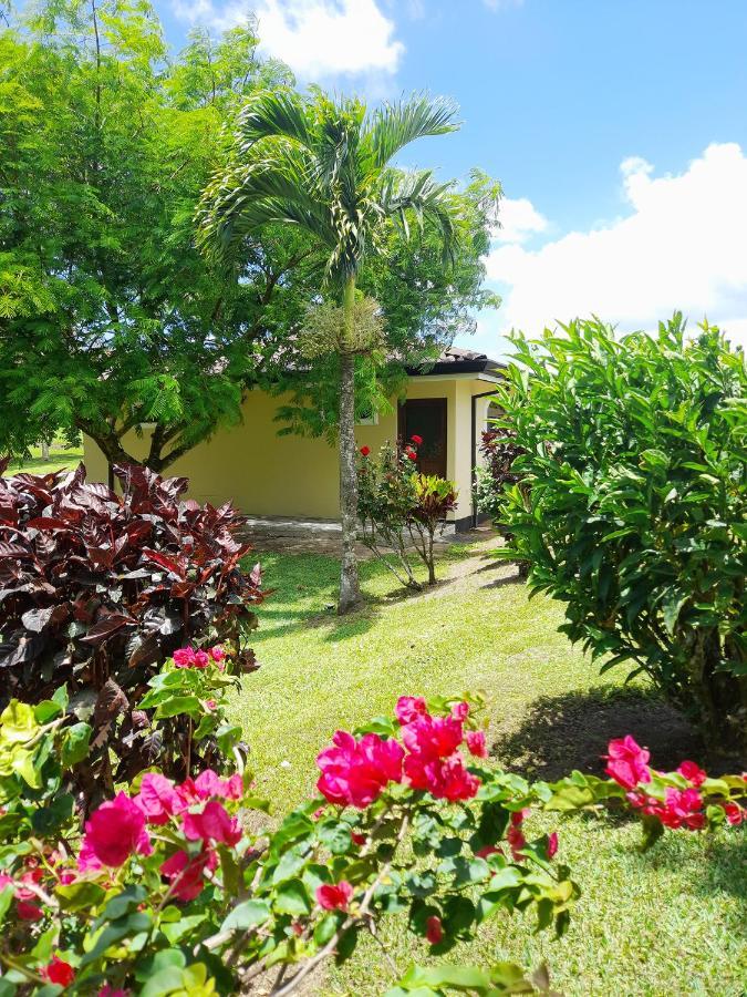 Top Rated - Lake View Arenal Suite - 2025 Traveller Awards Winner Tronadora Exterior foto